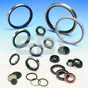 Guarnizione torica - EBI Bearings - C-ring