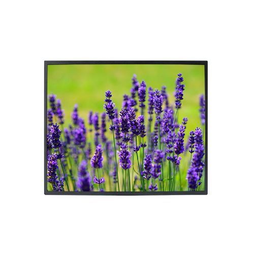Monitor TFT-LCD - DLD1900-T - Litemax Electronics Inc. - con retroilluminazione a LED / ad uso industriale / per uso esterno