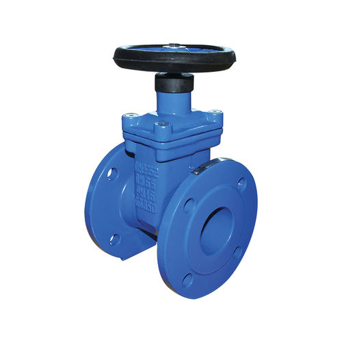Valvola a saracinesca - 20E900  - Brandoni - con volante / di controllo / per acqua