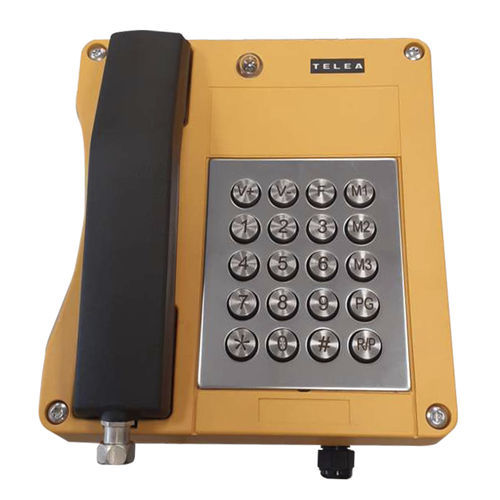 Citofono da parete - IF-AN-20EP04 - TELEA TECNOVISION SRL - audio / per uso prolungato / IP66