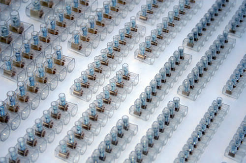 Morsetto componibile per binario elettrificato - IP 20 , IP 00 | CpBox - CANALPLAST - push-in / standard