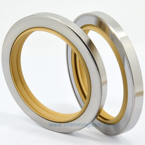 Guarnizione a labbro - CTL series - Ningbo Chenming Seals Manufacturing Co., Ltd. - PTFE / circolare / per pompa