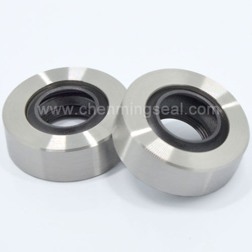 Guarnizione a labbro - CTL series - Ningbo Chenming Seals Manufacturing Co., Ltd. - in acciaio inossidabile / PTFE / circolare