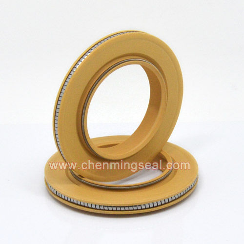 Guarnizione a labbro - SPC series - Ningbo Chenming Seals Manufacturing Co., Ltd. - a molla / PTFE / in poliammide