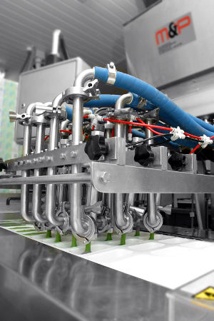 Colatrice multitesta - M&P Engineering