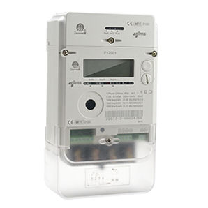 Contatore di energia elettrica monofase - P12S01 - Ningbo Sanxing Electric Co., Ltd - a muro / digitale / residenziale