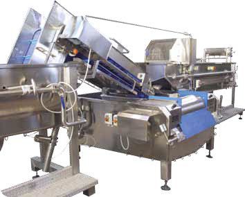 Lavatrice agroalimentare per frutta - CAPRI - Turatti