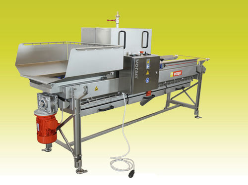 Lavatrice agroalimentare per frutta - BRM - Voran