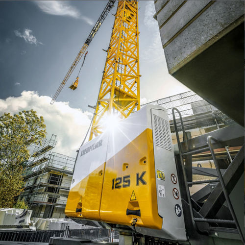 Gru fissa - 125 K - Liebherr Cranes - per facciate di edifici
