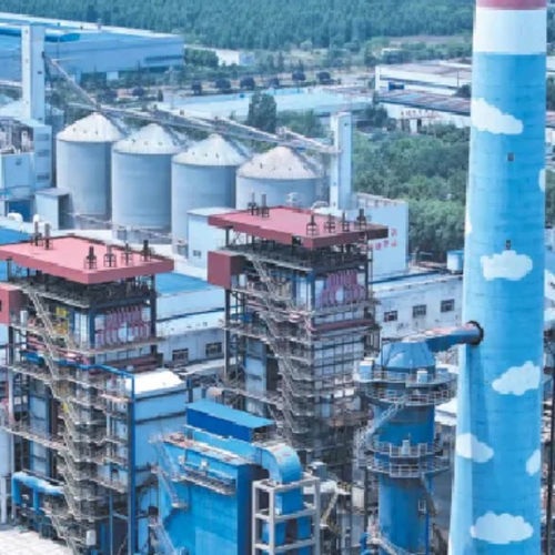 caldaia ad acqua calda - Taishan Group Tai’an Boao International Trade Co.,