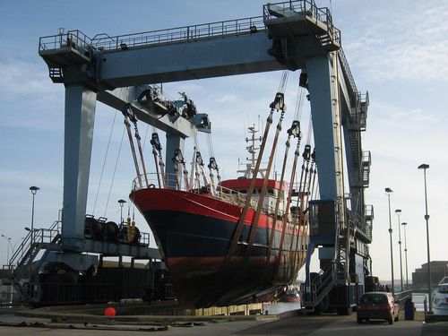 Travel lift 16 ruote - BEIJING WOWJOINT MACHINERY CO., LTD. - a carreggiata variabile