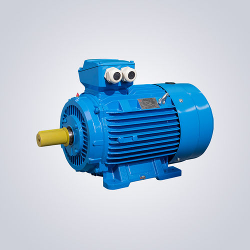 Motore a bassa tensione - YE4 Series H63~355 - Jiangsu Dazhong Electric Motor CO., Ltd - asincrono / trifase / IE4