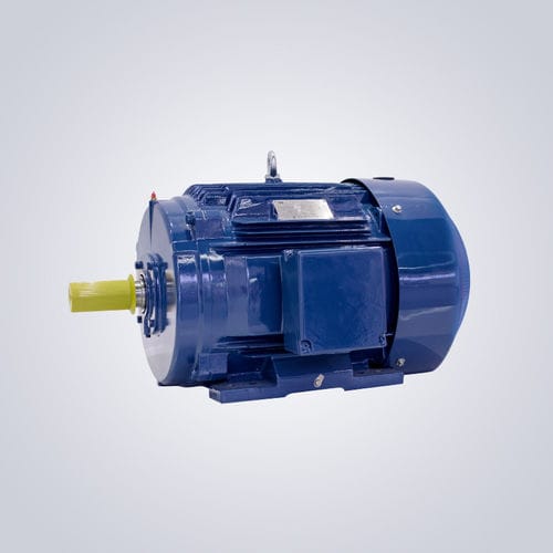 Motore NEMA - NEPM-Series 143T~449T (TC, TS) - Jiangsu Dazhong Electric Motor CO., Ltd - asincrono / trifase / 380 V