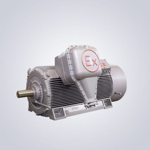 Motore ad alta tensione - YBKS - Jiangsu Dazhong Electric Motor CO., Ltd - asincrono / trifase / 6000 V