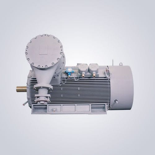 Motore a velocità bassa - TYCPX series - Jiangsu Dazhong Electric Motor CO., Ltd - sincrono / trifase / 6000 V