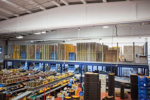 Soppalco industriale multilivello - Estanterias Record S.L - per piattaforma / per pallet / in tralicci