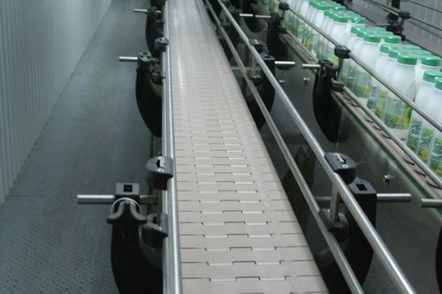 Trasportatore a catena - BCS SIA - orizzontale / inclinato / per frutta