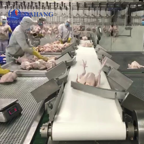Rettificatrice manuale - DHWS600*300-8 - Zhuhai dahang intelligent equipment co., LTD - ad alta prestazione