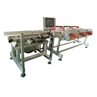 Macchina di smistamento per l'industria agroalimentare - DHWS400*150-4 - Zhuhai dahang intelligent equipment co., LTD - di processo