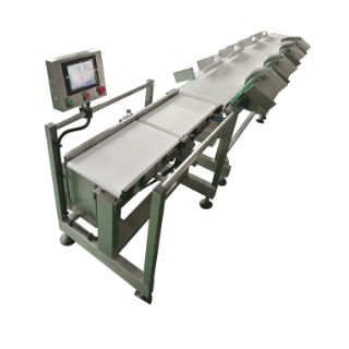 Macchina di smistamento di processo - DHWS400*150-4 - Zhuhai dahang intelligent equipment co., LTD