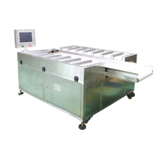 Miscelatore-dosatore a nastro - DHPZ-400*150-14 - Zhuhai dahang intelligent equipment co., LTD - ponderale