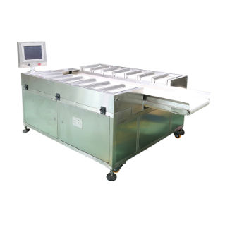 Miscelatore-dosatore a nastro - DHPZ-400*150-14 - Zhuhai dahang intelligent equipment co., LTD - ponderale / per l'industria agroalimentare / ad alta precisione