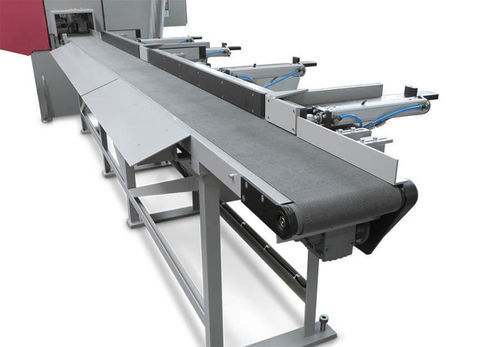 Nastro trasportatore - VA-L - Behringer GmbH | Maschinenfabrik und Eisengießerei