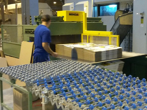 Pallettizzatore a strati - MINDA Industrieanlagen GmbH - per cartone / semiautomatico