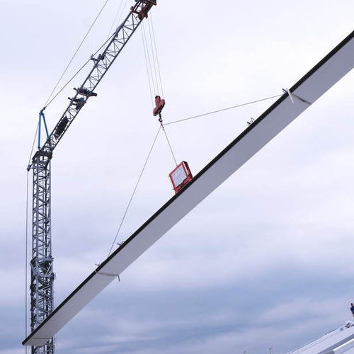 Ventosa di sollevamento per il settore dell'edilizia - CLAD-MAN® - AERO-LIFT - per carichi pesanti