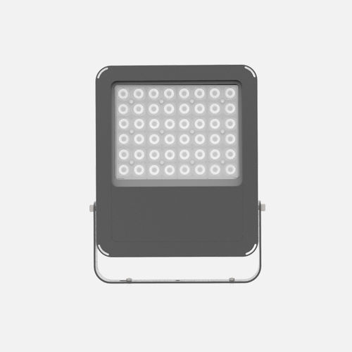 Proiettore LED - Integra - LANZINI - IP66 / da esterno / in acciaio inossidabile