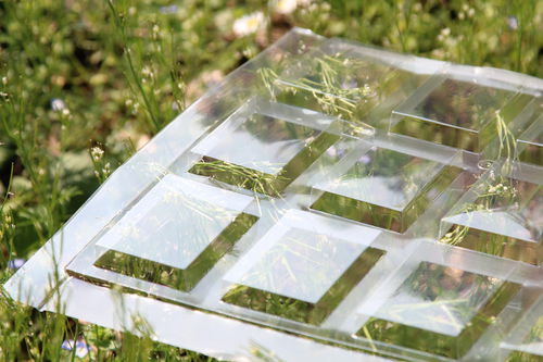Imballaggio in plastica - ELLEPACK SRL - per blister