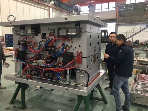 Stampaggio a iniezione plastica bicomponente - NingBo ChenTe electronics Technologies Co.,Ltd - monomateriale / multimateriale / termoplastica