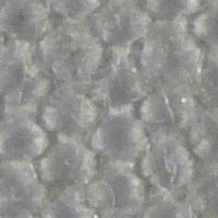 Tela per filtro pressa in PVC - PVC 3644 S - Sanin Filtertechnik GmbH