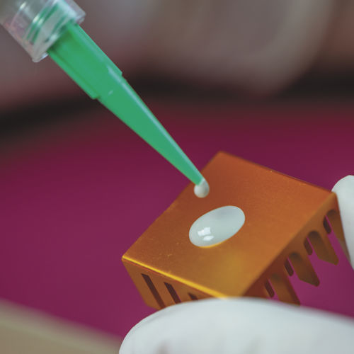Colla epossidica - EP40TC - Master Bond - per metallo / per plastica / per ceramica