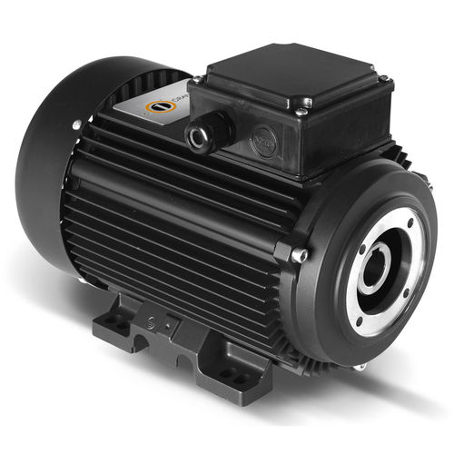 Motore asincrono - HYDRO Series - ORANGE 1 ELECTRIC MOTORS SPA - monofase / trifase / 400 V