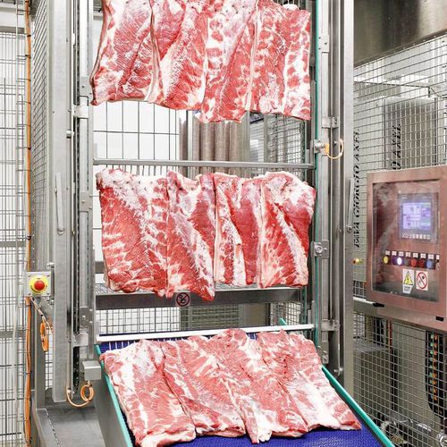 Linea di movimentazione per l'industria agroalimentare - Fava Giorgio Axel s.r.l. - automatica / ad alta produttività