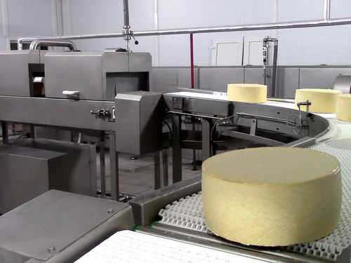 Lavatrice agroalimentare per formaggio - FIBOSA - a spazzzola / a spruzzo