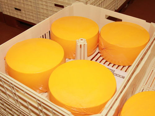 Cassa-pallet in plastica - FIBOSA - per la maturazione del formaggio / ventilata