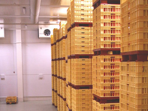 Camera di maturazione per formaggi - FIBOSA - a secco / per l'industria agroalimentare