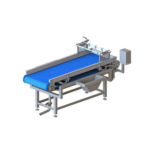 Tavolo di ispezione per alimenti - KRONEN GmbH, Nahrungsmitteltechnik