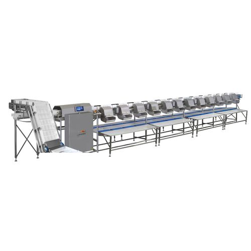 Calibratore per pesce - MC - MARELEC Food Technologies BVBA - per carne / a nastro