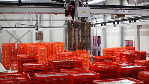 Robot a portale - Stöcklin - 2 assi / di pallettizzazione / impilatore