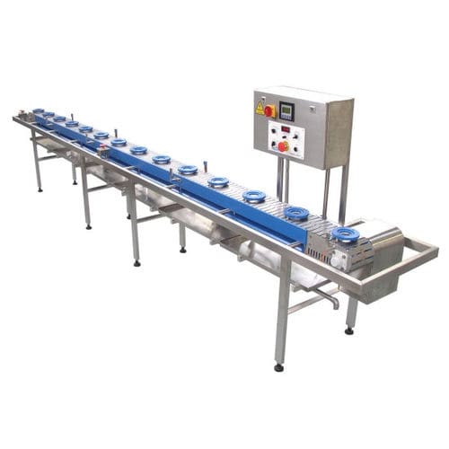 Trasportatore a catena - Riggs Auto Pack Ltd - da trasporto / modulare / per l'industria agroalimentare