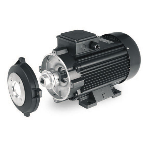 Motore con doppia flangia - HYDROG series - Sicme Motori - asincrono / AC / 400 V