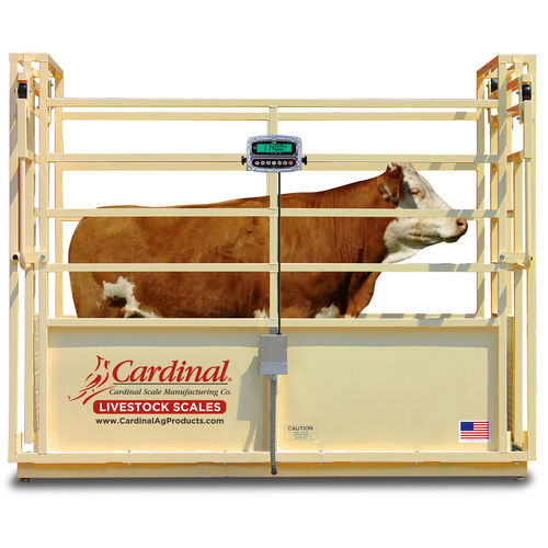 Bilancia per bestiame - SLS series - Cardinal Scale - a piattaforma / con monitor separato / in acciaio