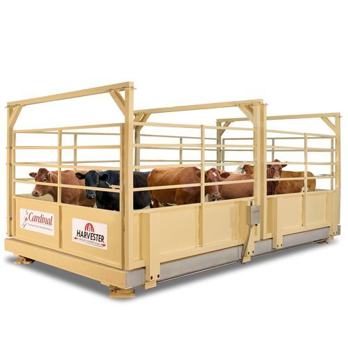 Bilancia per bestiame - LSC Series - Cardinal Scale - a piattaforma / lb / in acciaio