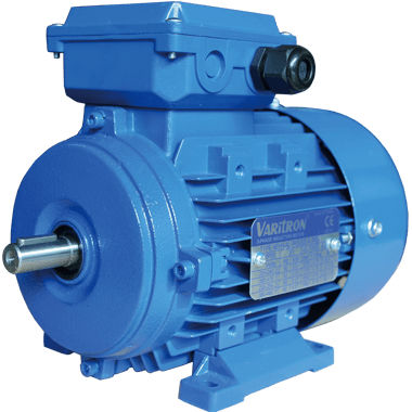 Motore ad induzione - AEEH - Varitron Eng. (Taiwan) Co. Ltd - trifase / in alluminio / a gabbia di scoiattolo
