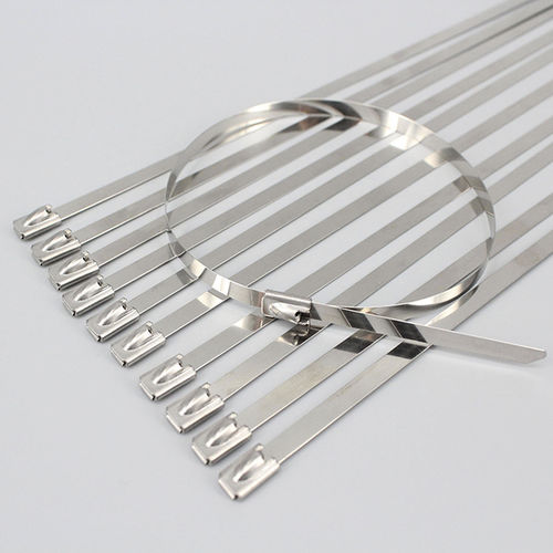 Fascetta stringicavo in acciaio inossidabile - DM-SS series - DEMOELE / Wenzhou Duanmeng Electric Co.,Ltd - in plastica / per condizioni estreme / resistente alla corrosione