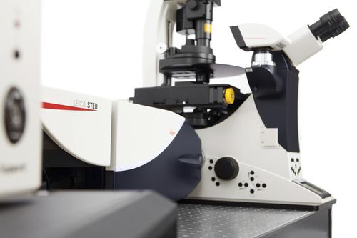 Microscopio ottico - TCS SP8 STED - Leica Microsystems GmbH - da laboratorio / per misurazione 3 assi / 3D