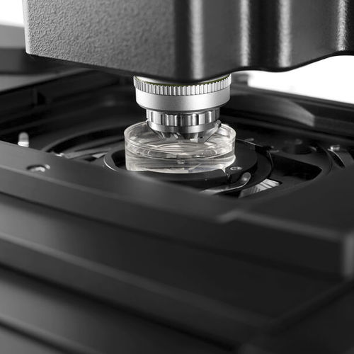 Microscopio da laboratorio - TCS SP8 DLS - Leica Microsystems GmbH - 3D / confocale / ad alta definizione